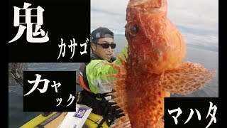 カヤックフィッシング・オニカサゴ＆マハタ