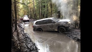 Из роскошного Lexus LX в Короля OFF-road - переделываем Lexus. Вся правда о PATROL