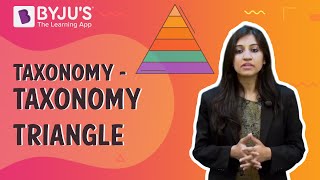 Taxonomy - Taxonomy Triangle | Learn with BYJU'S