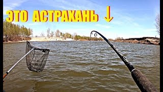 ЭКСПЕРИМЕНТ УДАЛСЯ. ДУМАЛИ КАРАСЬ. Астрахань 2019. Весна.