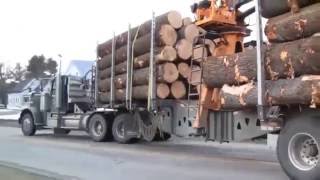 ГРУЗОВИКИ Лесовозы в Америке