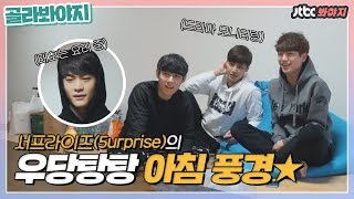 [골라봐야지] 어머나 세상에 강준아 너무 재밌다.. 물론 당신 얼굴이.. #타인의취향 #JTBC봐야지
