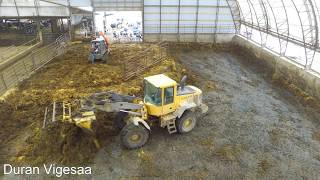 Piling manure and flying drone in hoop barn!