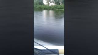 Лодка пингвин с мотором сиа про 18