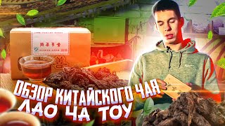 Обзор и тест чая | Чайные головы Лао ча тоу | Шу пуэр Чайные головы Лао ча тоу | Йонг Джен