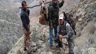 Bezoar Ibex Hunting in TURKEY Dusty Phillips&TURKISH FRONTIER