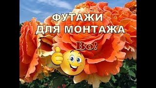 ФУТАЖИ,ЗАСТАВКИ С ЮБИЛЕЕМ 55 ЛЕТ  (4 футажа)