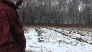 Разведение пчёл зарисовки с сибирской пасеки завершение 2014