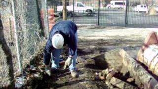 my brother cleaning up the yard with the bobcat