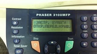 Xerox Phaser 3100 Застревание бумаги
