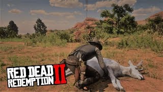 Легендарный ВИЛОРОГ в Red Dead Redemption 2 ► ГДЕ НАЙТИ?