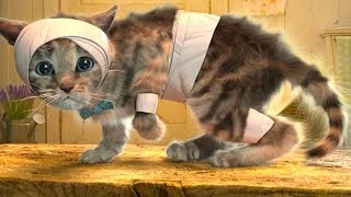 ПРИКЛЮЧЕНИЕ МАЛЕНЬКОГО КОТЕНКА мультик смешное видео для детей мультфильм про котиков #ГАМИКС
