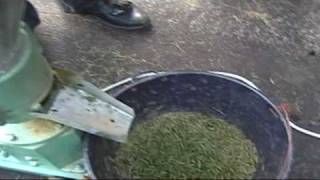 Pellets made from Grass
