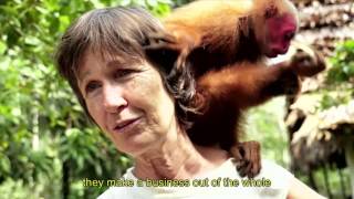 THE BEST AYAHUASCA (DMT) DOCUMENTARY