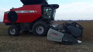 Демонстрація роторного комбайна Massey Ferguson T7 на соєвих полях