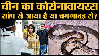 जानिए Coronavirus के बारे में, जो China के बाद India भी आ सकता है | Wuhan Virus | Symptoms | Cure