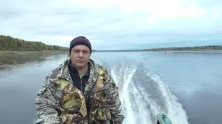 Отличный улов за 4 часа / Ловля хариуса на мушки / Рыбалка в сентябре