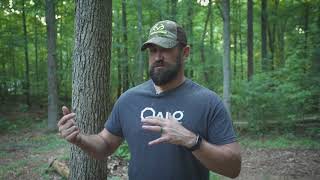 QALO | Ring Testimonial - Kip Campbell, Red Arrow TV