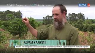 Русские староверы в Бразилии и Боливии.