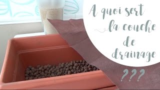 Plantes en pot : à quoi sert la couche de drainage ?