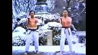 Maestros karate Shito-Ryu