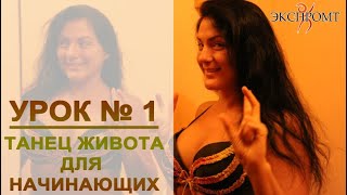 Урок 1. Танец живота, восточные танцы, арабский танец для начинающих. Школа танцев "Экспромт"