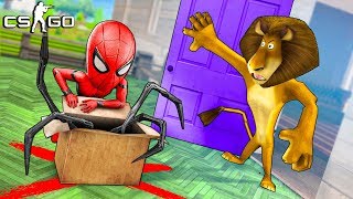 ОПАСНОЕ МЕСТО С ЛОВУШКОЙ! ЧЕЛОВЕК ПАУК vs ЗЛОЙ АЛЕКС! МАНЬЯК В CS:GO (ВЕСЕЛЫЕ ПРЯТКИ В КС ГО)