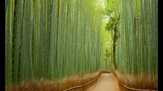 Unbelievable Places that are Hard to Believe Really Exist HD 2014