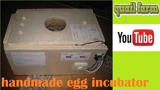 DIY Homemade Incubator for 10 US dollars