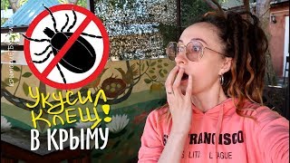 14 || просыпаемся в 5 утра || Осторожно! Укусил клещ в Крыму!