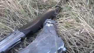 Breda Xanthos Grey - полуавтомат для охоты.