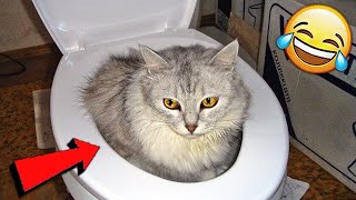 БЕССТЫЖИЕ ЖИВОТНЫЕ???? КОТОРЫЕ ПЕРЕШЛИ ВСЕ ГРАНИЦЫ????
