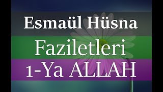 Esmaül Hüsna, Allah İsmi Şerifi, Anlamı, Kaç Defa Okunur, Sırları, Faziletleri Nelerdir ?