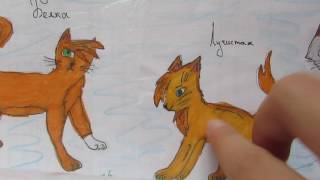Коты Воители работа на конкурс для канала Анжелика Cat