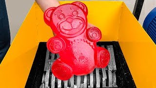 Shredding Machine Vs Jelly Bear!