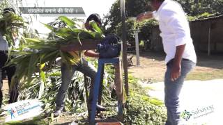 Method of preparation of Silage