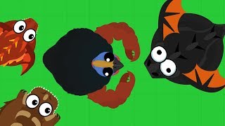 Нуб Про и Читер в Мопио. Самое опасное животное в Mope.io