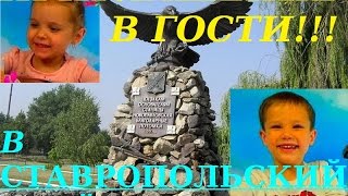 Мистер Макс и Мисс Кейти. Приглашение в гости. Мистер Макс новые видео