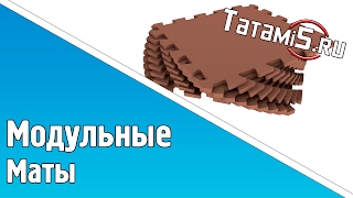 Модульные маты для тренажерных залов [TATAMI5.RU]