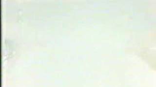 1982 JAF Suzuka GP Crash