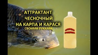 АТТРАКТАНТ ДЛЯ ЛОВЛИ КАРАСЯ И КАРПА, ЧЕСНОЧНЫЙ АРОМАТИЗАТОР ДЛЯ РЫБАЛКИ carp carassius attractant