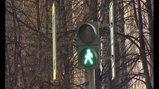 Они шли на зелёный. Троих детей сбили на пешеходном переходе!