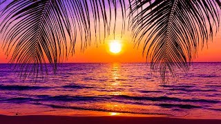 Music for Sleeping 24/7, Deep Sleep Music, Insomnia, Calm Music, Spa, Yoga, Zen, Study, Sleep, Relax