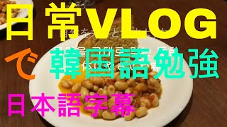 【#18韓国語】vlogで韓国語ㅣ方向音痴の道探し