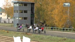 Закрытие бегового сезона на курганском ипподроме