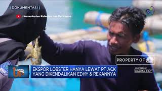 Edhy Prabowo Tersandung Benur