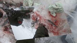 Рыбалка на Камчатке, декабрь 2018 года г.