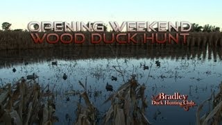 Bradley Duck Hunting Club - Opening Weekend Wood Duck Hunt - Part 1!