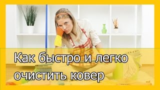 Как быстро и легко очистить ковер