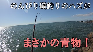千葉県南房総の「宝来島」で磯釣りしてみたら予想だにしない嬉しい獲物が！